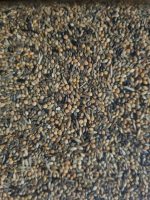 Bird supreme Gouldzaad excellent - zak 20 kg - Afbeelding 2