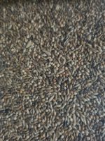 Bird supreme Parkietenzaad Excellent Rob Alofs AL09 - zak 20 kg - Afbeelding 2