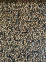 Bird supreme Prachtvinken/Japansemeeuwen - zak 20 kg - Afbeelding 2