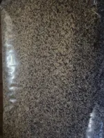 Postuur kanarie Rene Alsema 2,5 kilo - Afbeelding 2