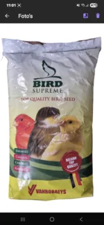 Postuur kanariezaad Rene alsema 5 kilo - Afbeelding 2